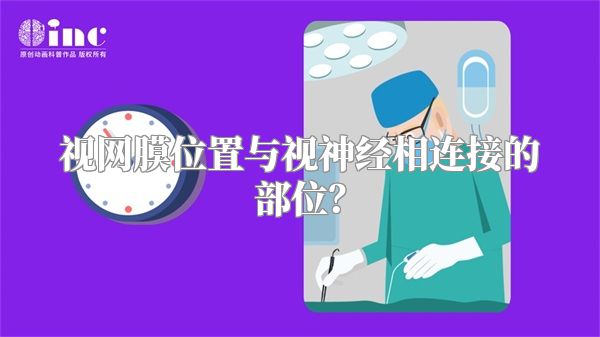 视网膜位置与视神经相连接的部位？