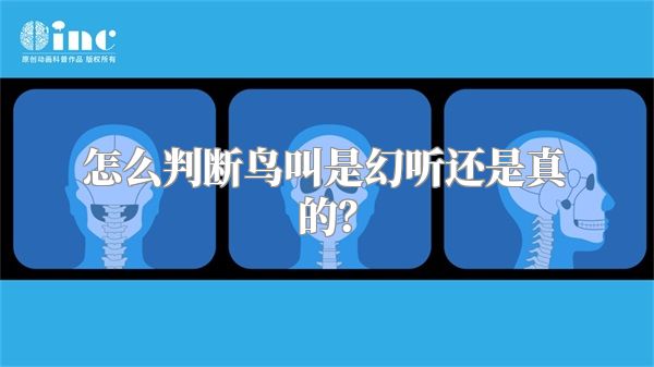 怎么判断鸟叫是幻听还是真的？