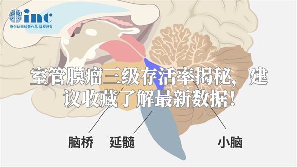 室管膜瘤三级存活率揭秘，建议收藏了解最新数据！