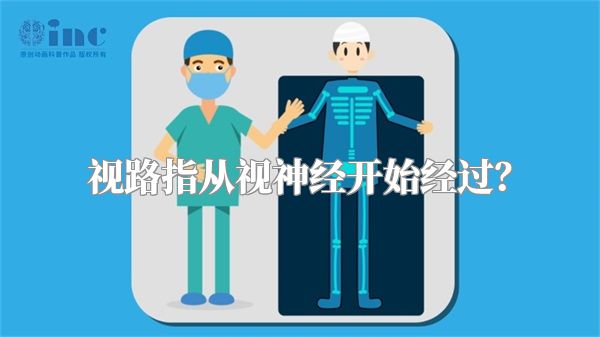 视路指从视神经开始经过?