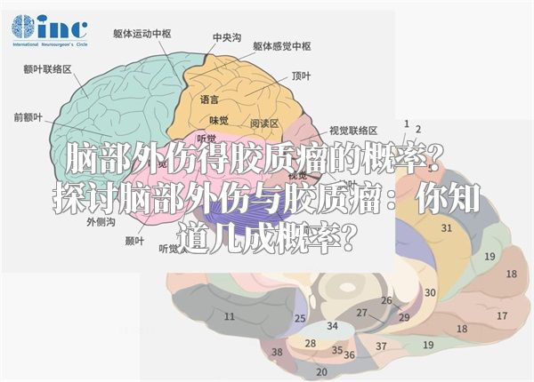 脑部外伤得胶质瘤的概率？ 探讨脑部外伤与胶质瘤：你知道几成概率？