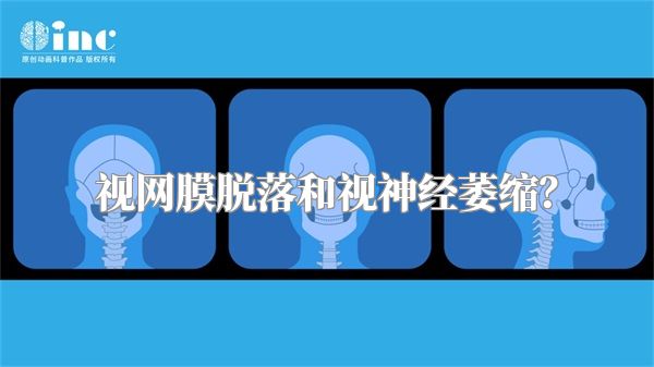 视网膜脱落和视神经萎缩？