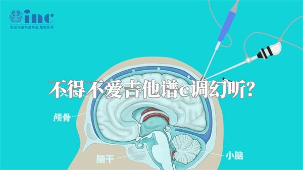 不得不爱吉他谱c调幻听？