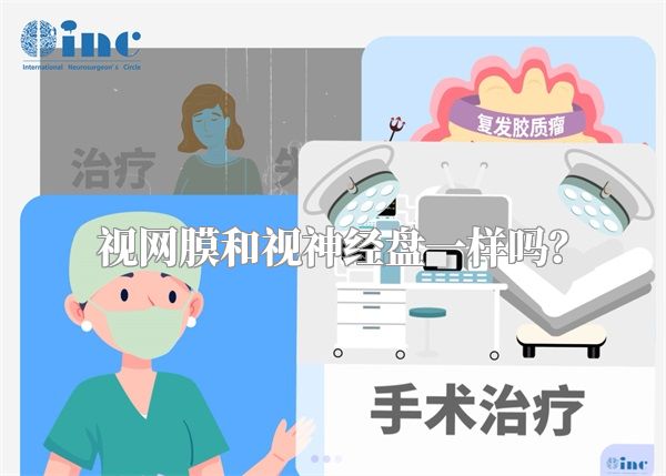 视网膜和视神经盘一样吗？