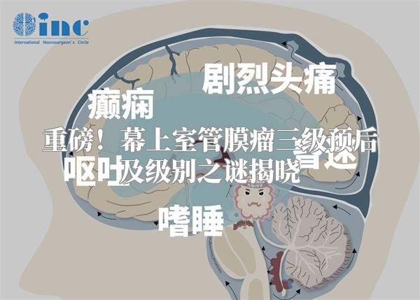 重磅！幕上室管膜瘤三级预后及级别之谜揭晓