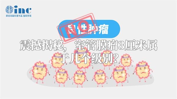 震撼揭秘，室管膜瘤3厘米属于几个级别？