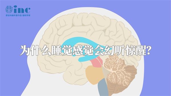 为什么睡觉感觉会幻听惊醒？