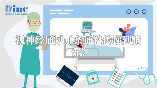 视神经通过几条通路传递到脑部?