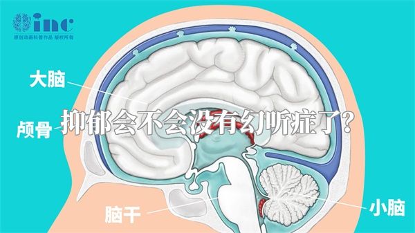 抑郁会不会没有幻听症了？