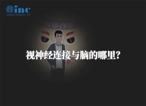 视神经连接与脑的哪里？
