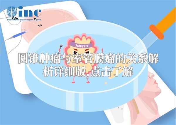 圆锥肿瘤与室管膜瘤的关系解析详细版,点击了解