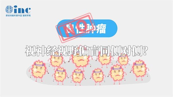 视神经视野偏盲同侧对侧?