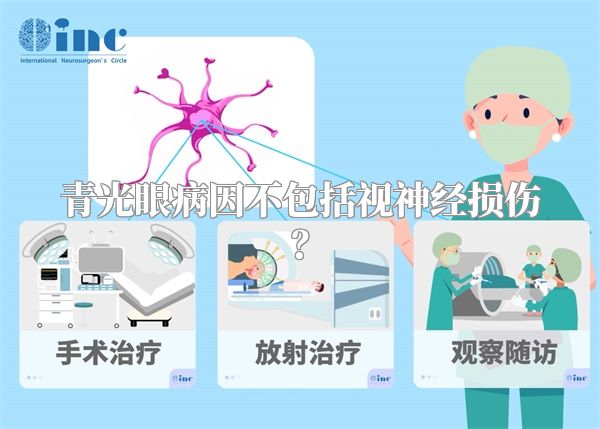 青光眼病因不包括视神经损伤？
