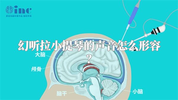 幻听拉小提琴的声音怎么形容？