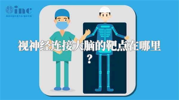 视神经连接大脑的靶点在哪里?