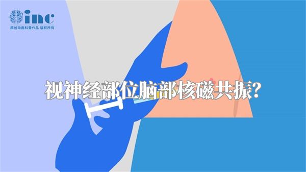 视神经部位脑部核磁共振?