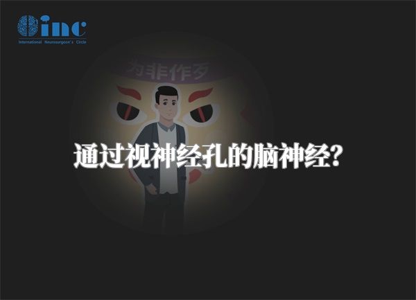 通过视神经孔的脑神经？
