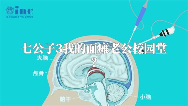 七公子3我的面瘫老公校园堂？