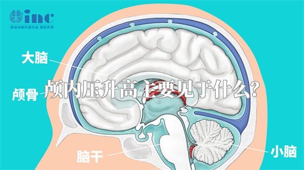 颅内压升高主要见于什么？