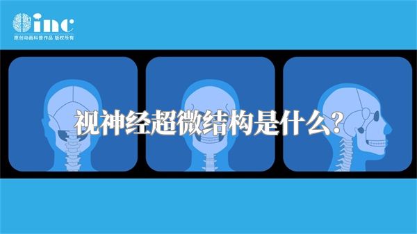 视神经超微结构是什么？