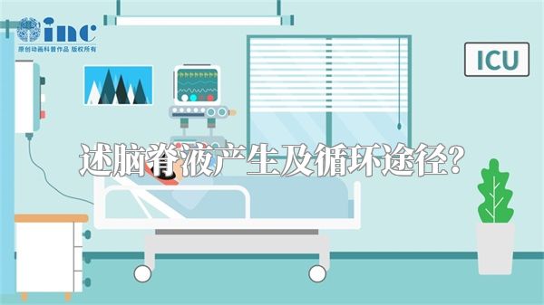 述脑脊液产生及循环途径？