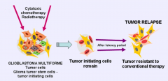 「胶质瘤化疗」胶质瘤主流的靶向药效果怎么样？